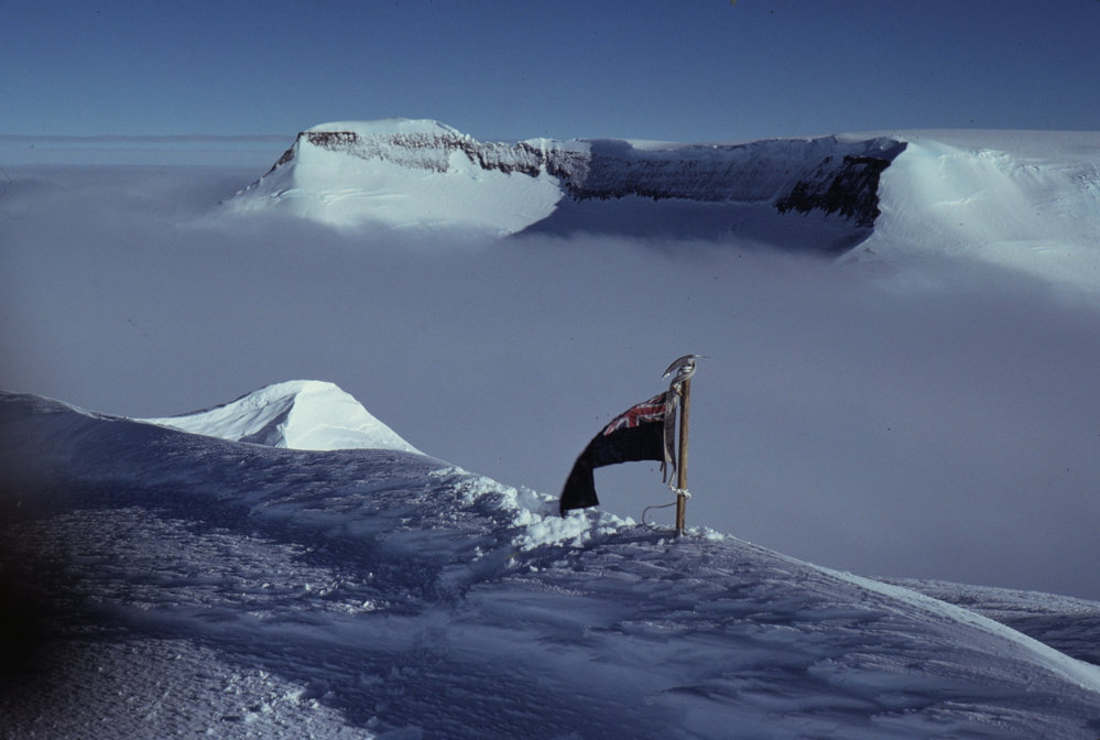 Glossopteris toward Schopf.jpg