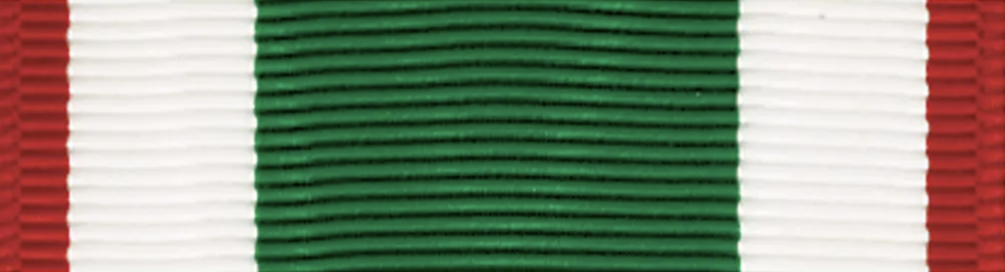 Ribbon-W-GR.png