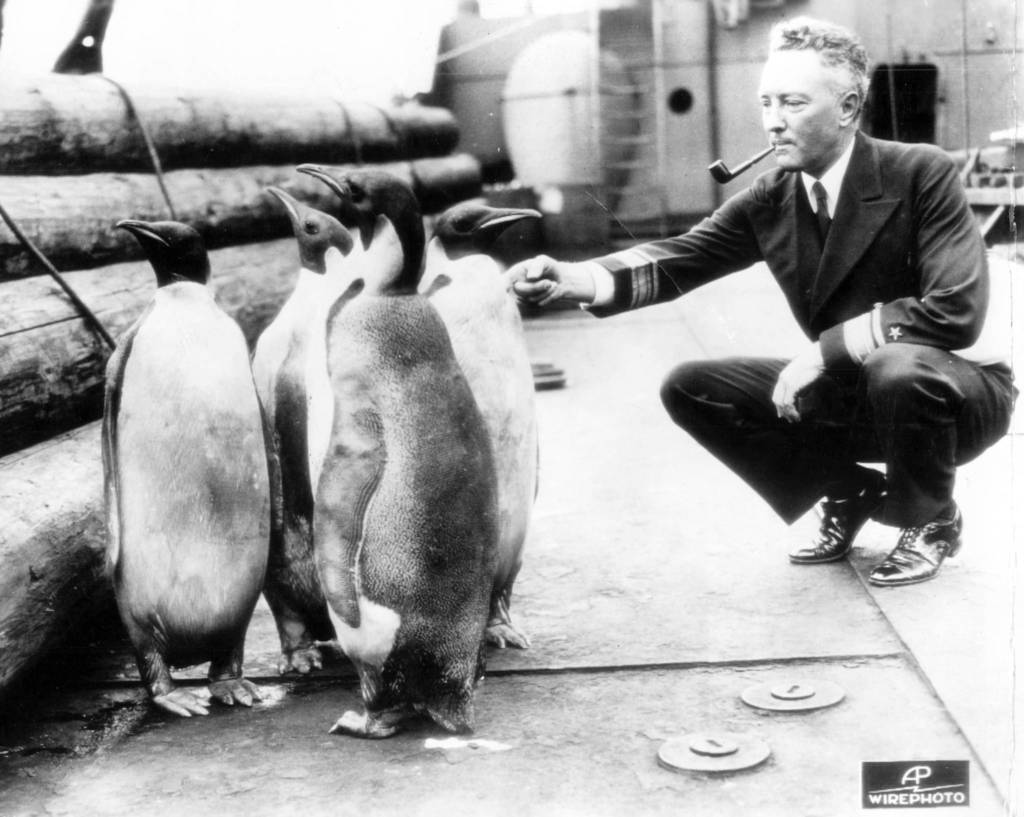 Adm-RichardByrd-penguins.jpg