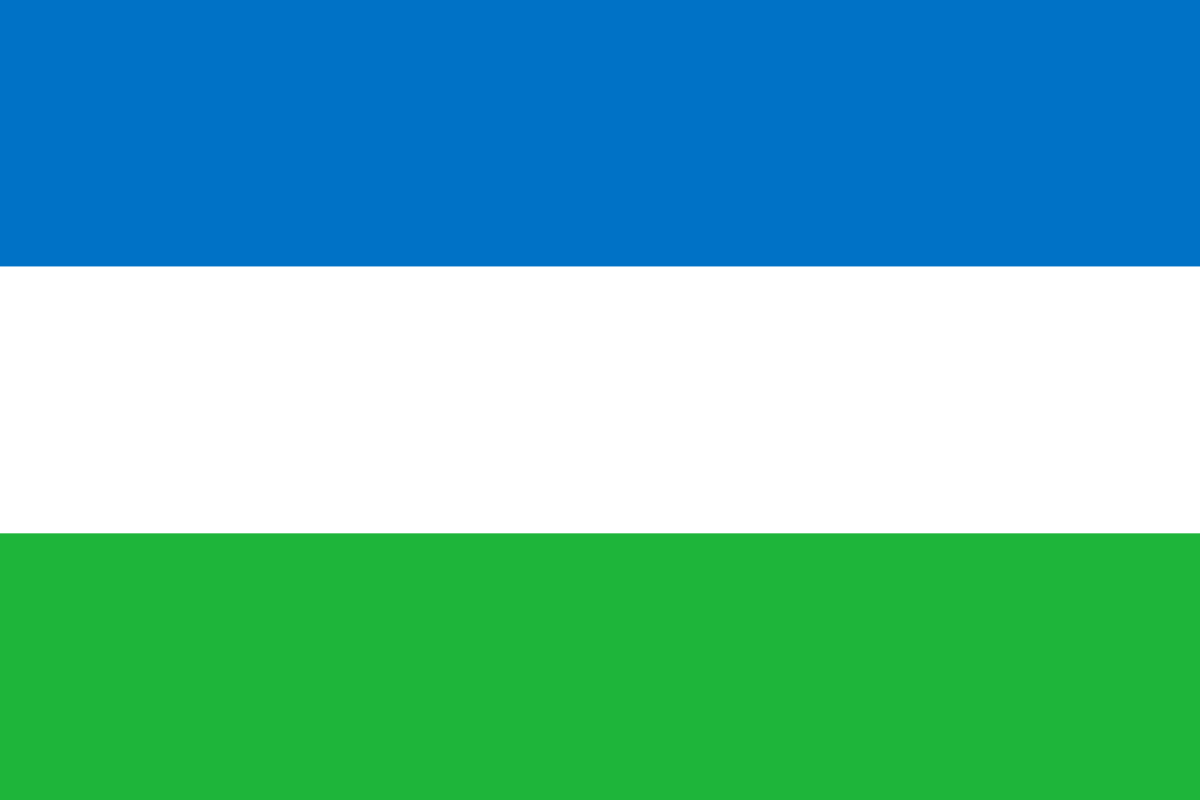 Flag of Molossia.png