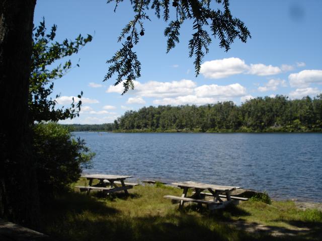 Mol-Mus-LakeJean.jpg