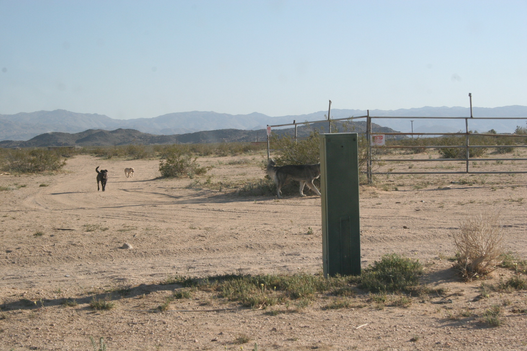 Desert Homestead 030.jpg