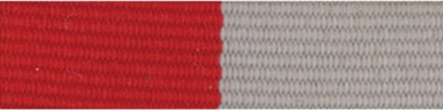 Valentine Ribbon.png