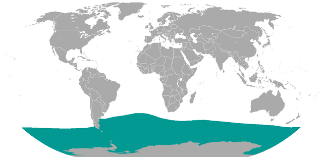 Elephant Seal Range.png