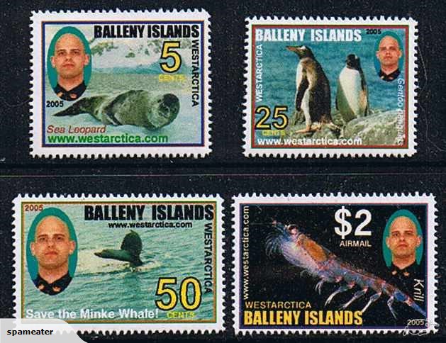 Balleny Islands - Krill.jpg