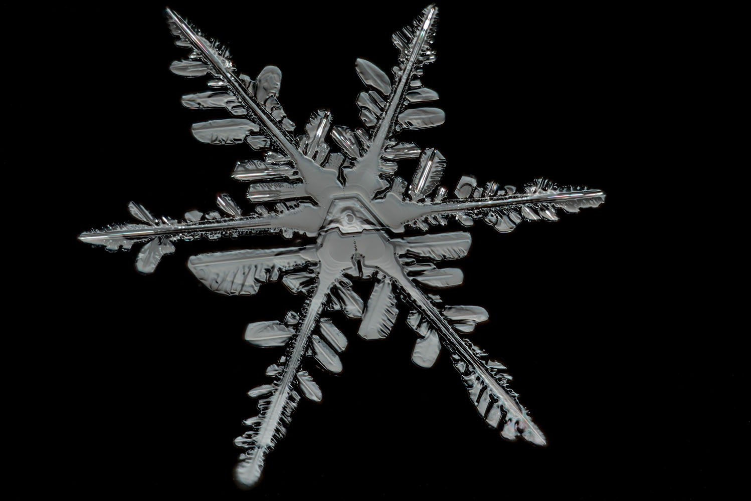 Snowflake Detail.jpg