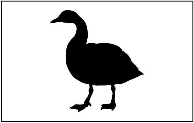 Flag of Goose1.JPG